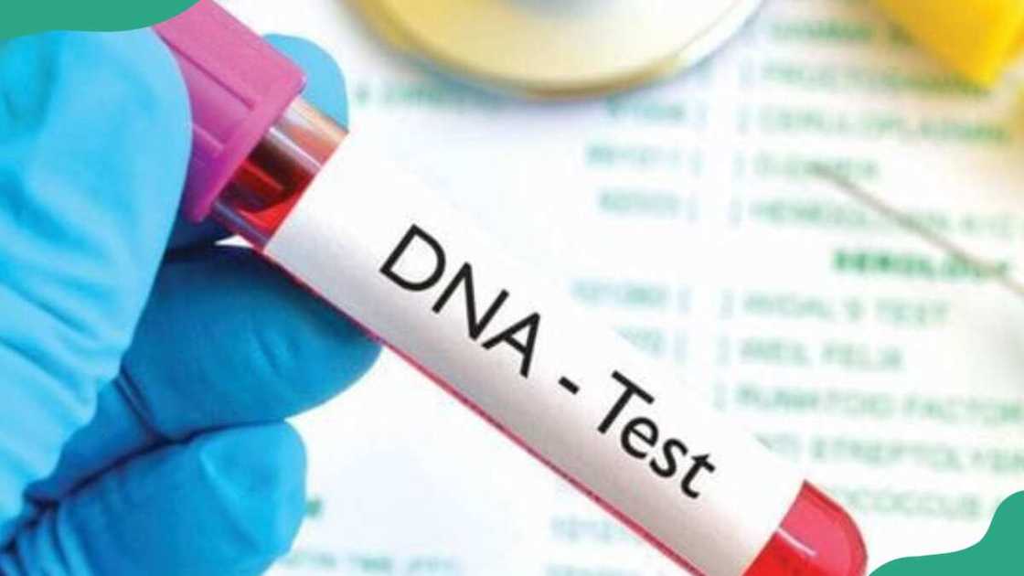 the cost of dna test in nigeria the cost of dna test in nigeria