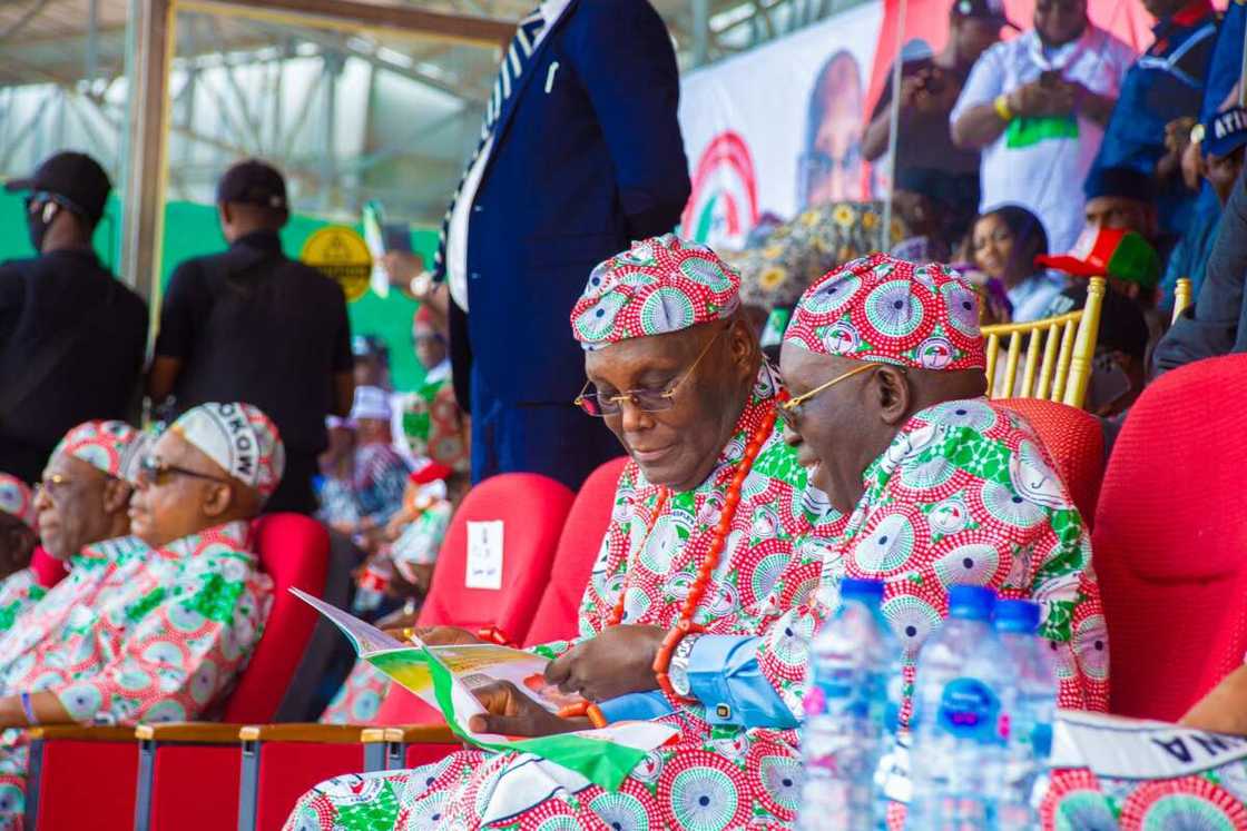 lyorchia Ayu lyorchia Ayu