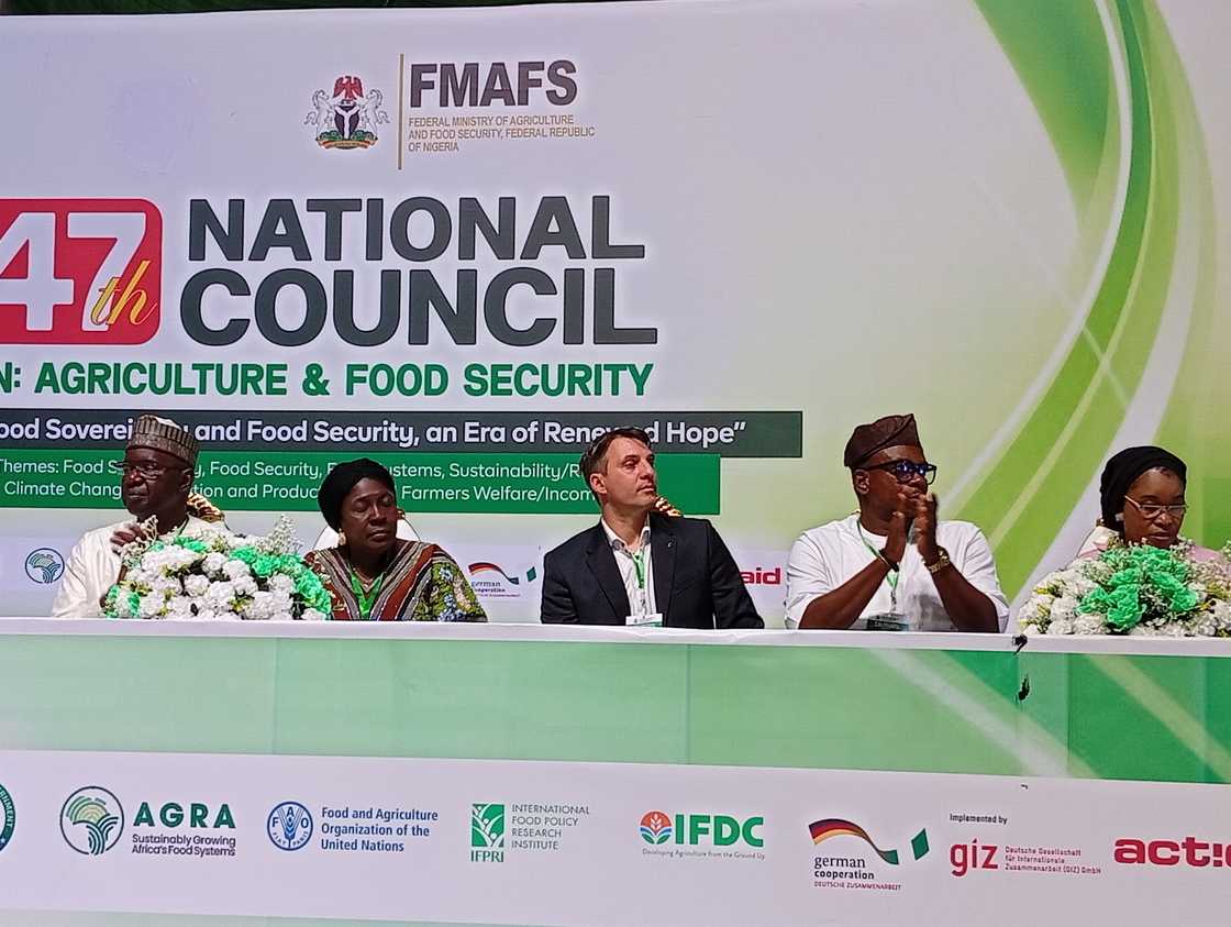 Taro kan samar da abinci Taro kan samar da abinci