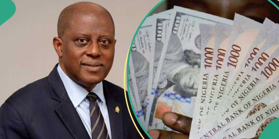 CBN supplies biggest dollar sale CBN supplies biggest dollar sale