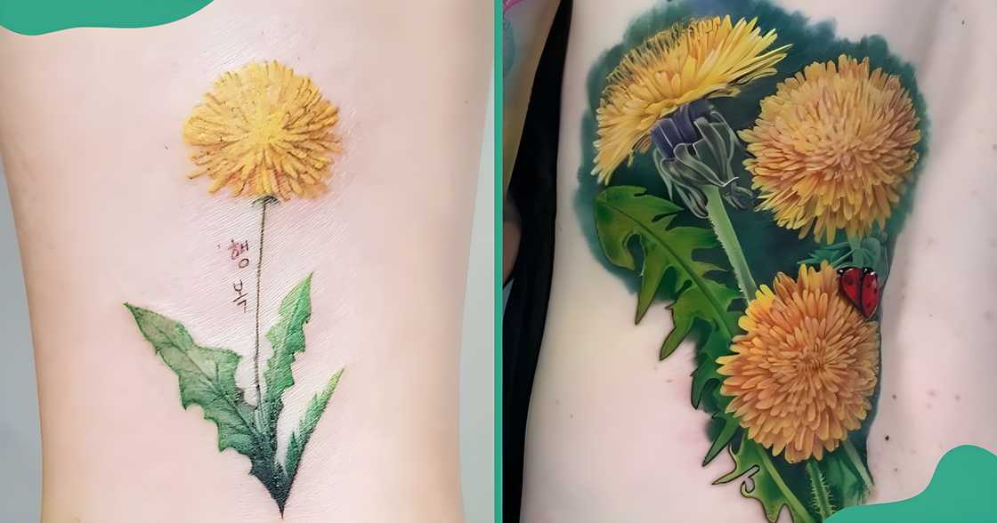 Realistic dandelion flower tattoos with their leaves