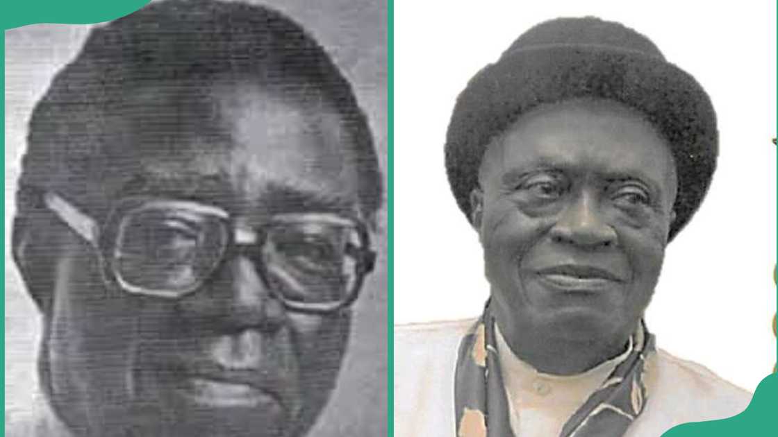 Eyo Esau in official potraits