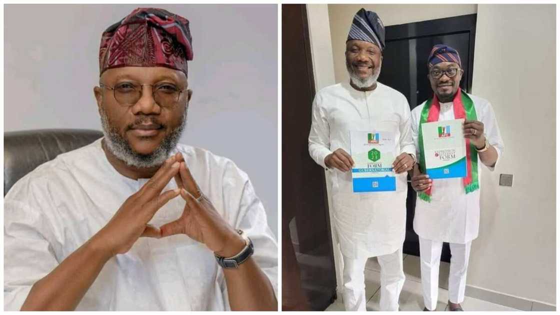 2023 general election, Ogun 2023, APC governorship form