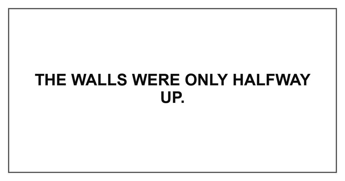The walls were only halfway up.