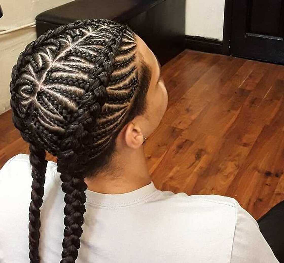 feeder braids feeder braids