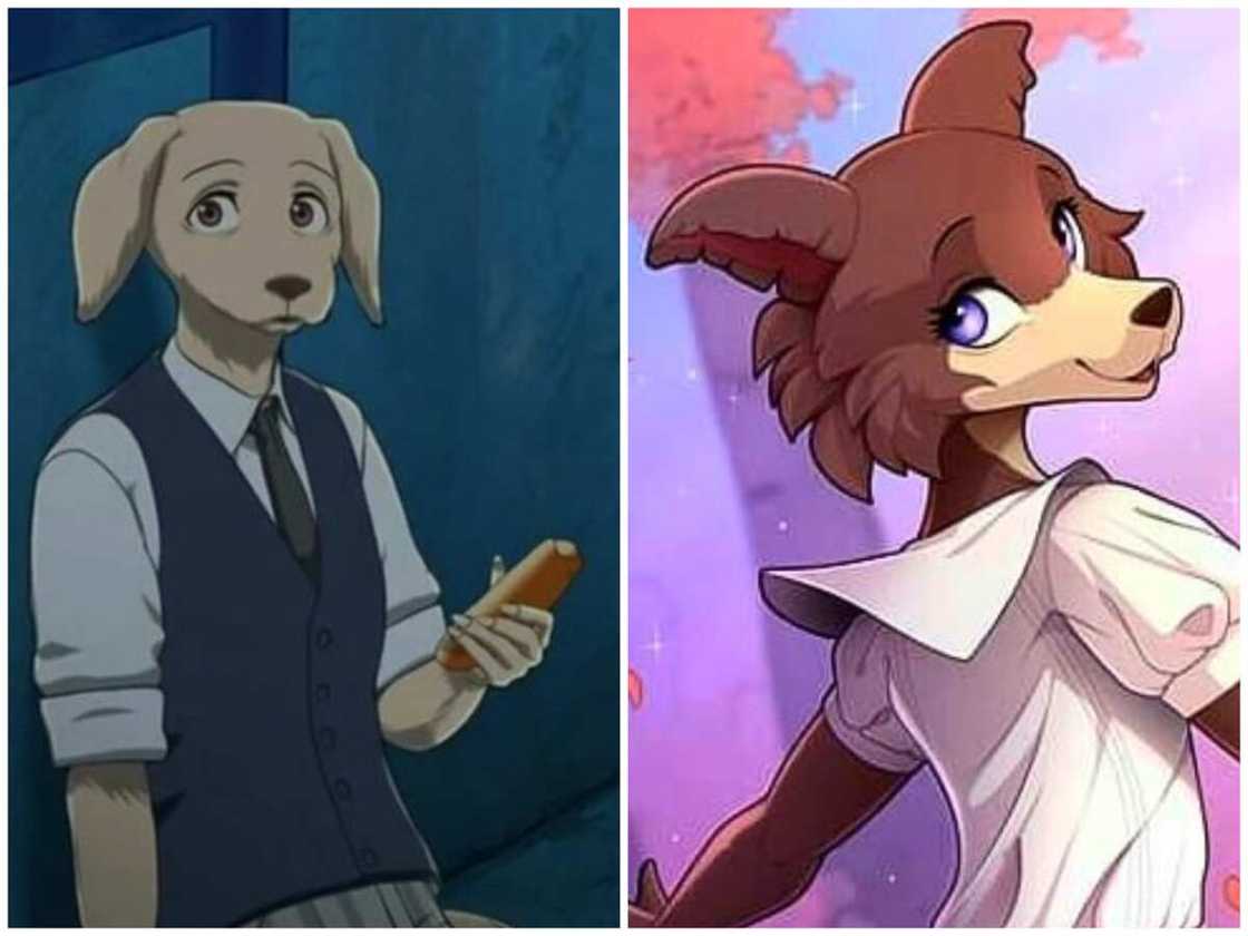 Personnages de Beastars Personnages de Beastars