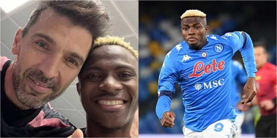 Super Eagles star Osimhen who is only 22 years meets 43-year-old Buffon after Napoli beat Juventus, gets special thumbs up from him Super Eagles star Osimhen who is only 22 years meets 43-year-old Buffon after Napoli beat Juventus, gets special thumbs up from him