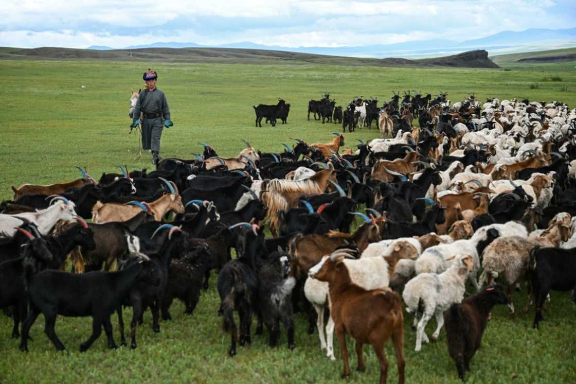 Luvsanbaldan Batsukh , 25, tried working two years as a construction worker in the city but it wasn't to his liking, now he lives alongside his brother and his family in a small cluster of remote gers Luvsanbaldan Batsukh , 25, tried working two years as a construction worker in the city but it wasn't to his liking, now he lives alongside his brother and his family in a small cluster of remote gers