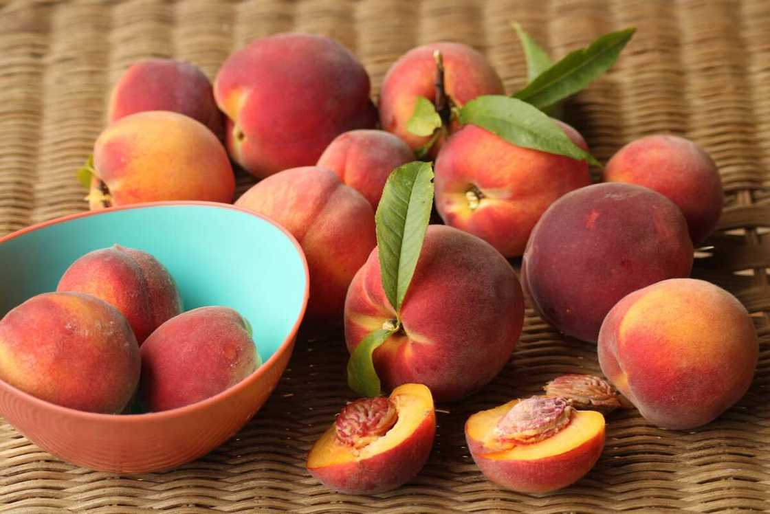 Fertility diet for women Fertility diet for women