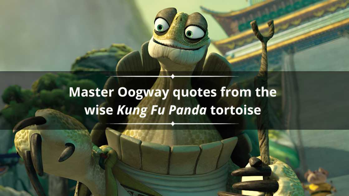 Master Oogway quotes