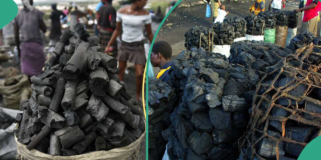 Residents of Baruten protest over the impending charcoal production ban.