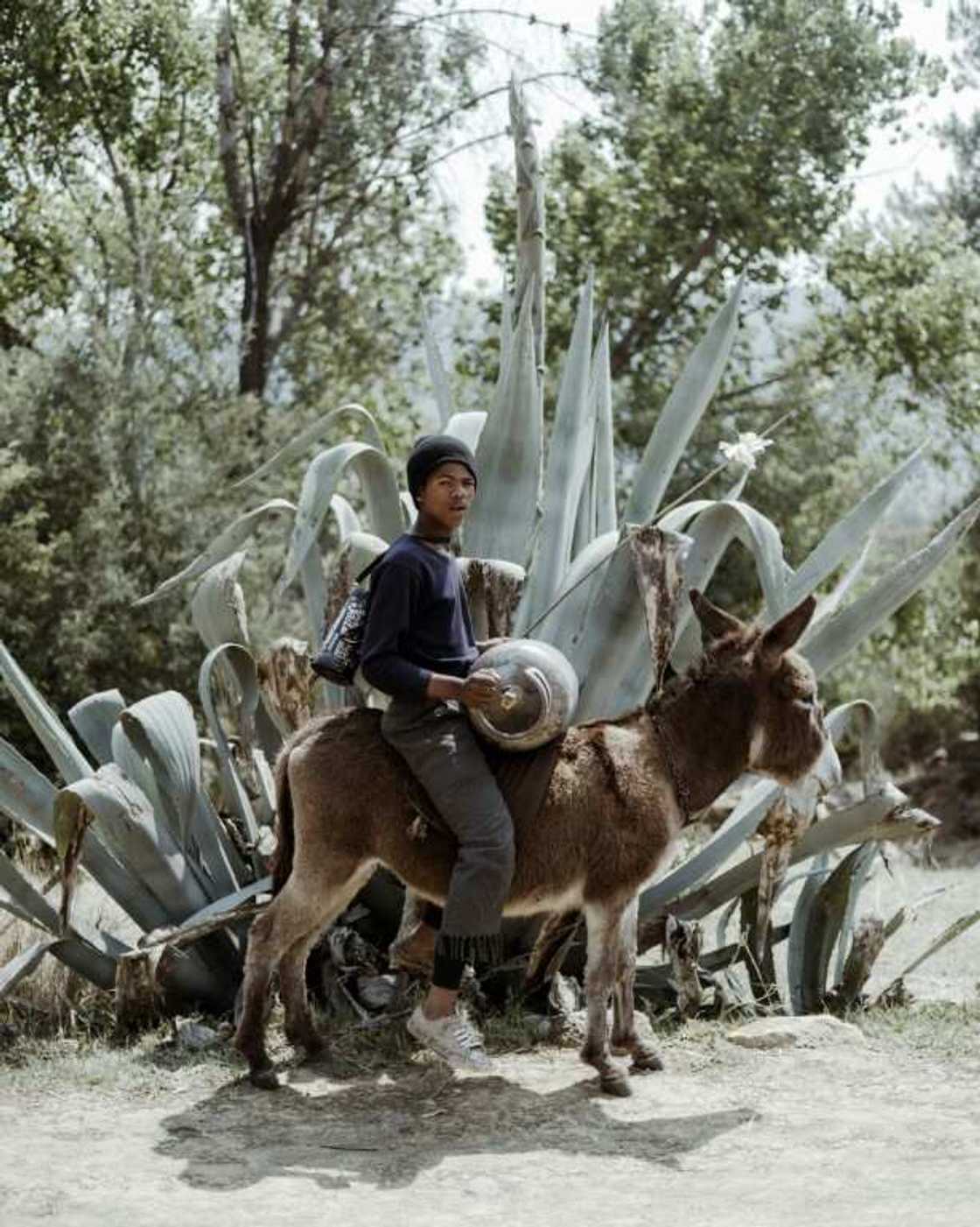 Lesotho has just three main roads linking the capital Maseru to the rest of the country Lesotho has just three main roads linking the capital Maseru to the rest of the country
