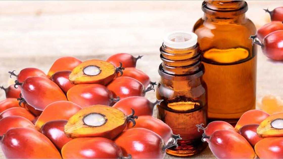 Amfani 7 na man ja ga jikin dan Adam Amfani 7 na man ja ga jikin dan Adam