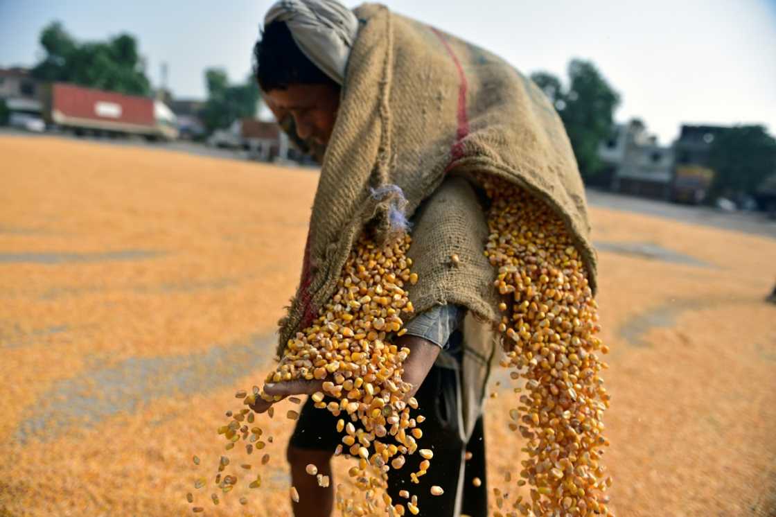 Indian exporters warned that the cost of additional US tariffs totalling 50 percent risked making businesses "not viable" Indian exporters warned that the cost of additional US tariffs totalling 50 percent risked making businesses "not viable"