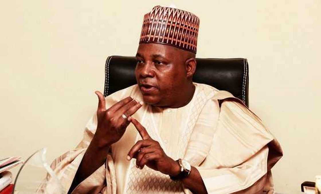 Ajaka describes Shettima as a shinning light