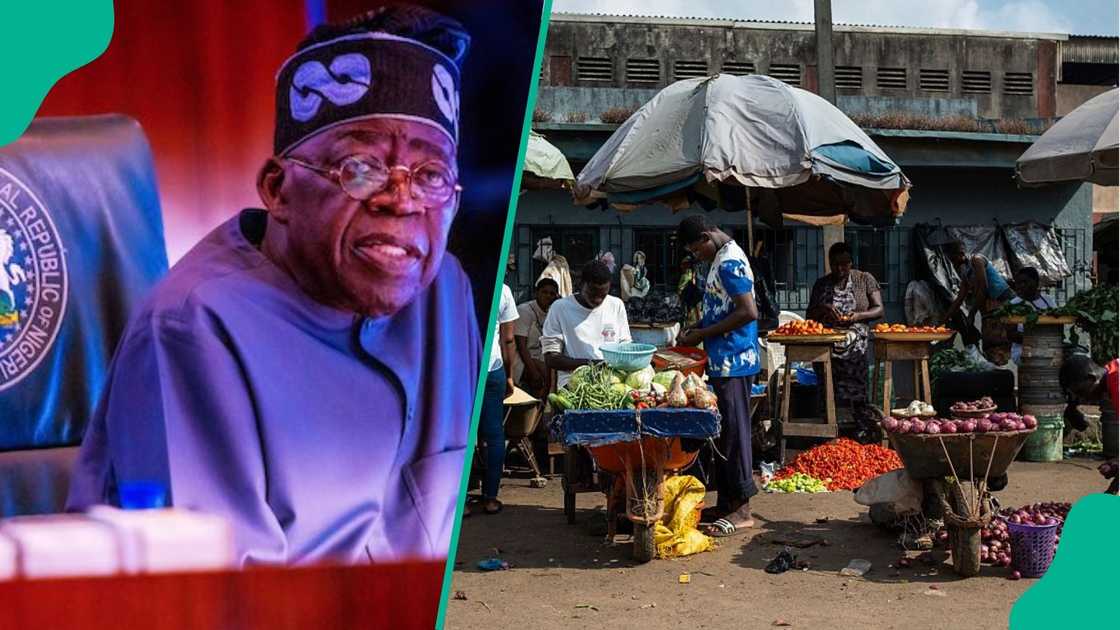 Five Govt Loans/Grants Available to Citizens Under Tinubu’s Administration Five Govt Loans/Grants Available to Citizens Under Tinubu’s Administration