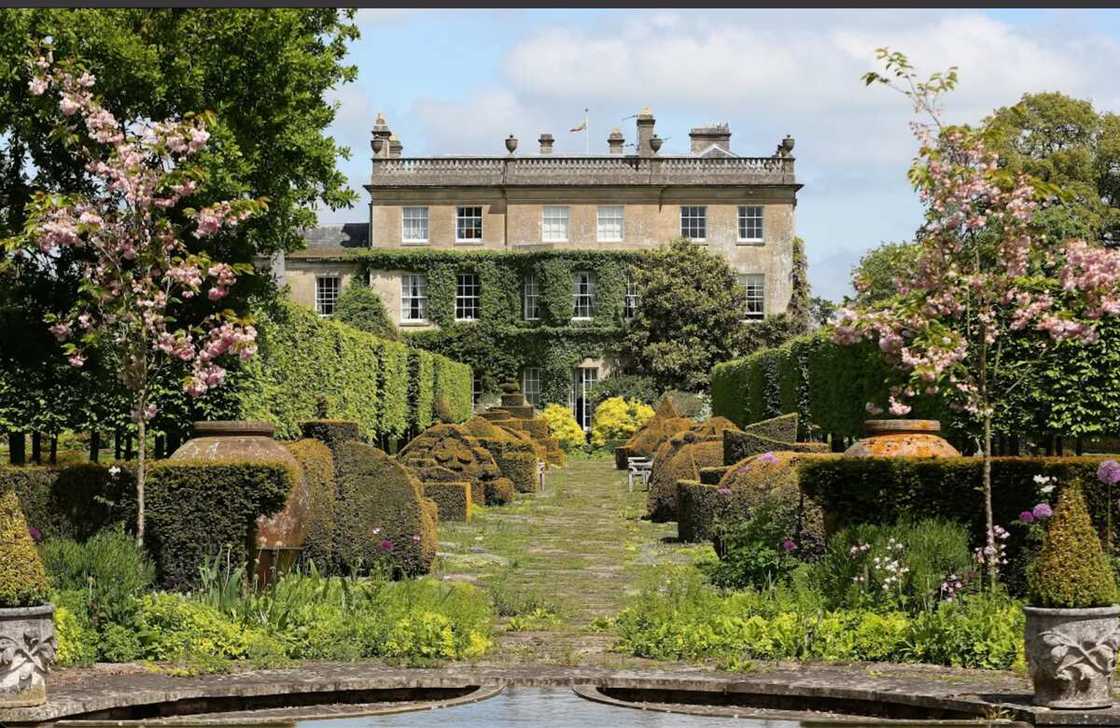 Landlord prince William, king Charles Landlord prince William, king Charles