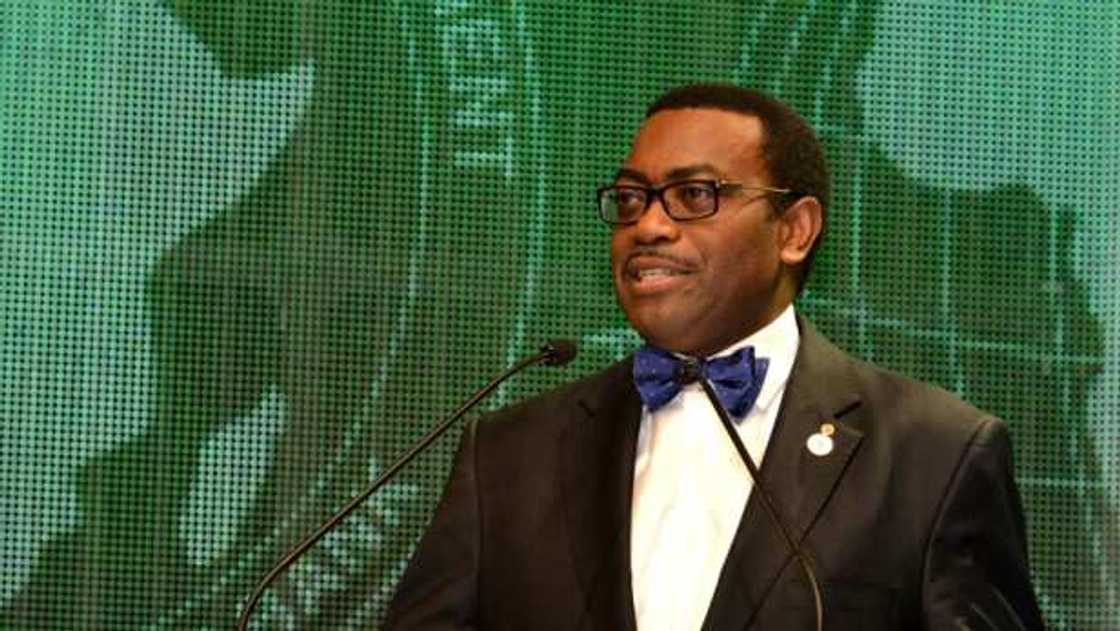 Akinwunmi Adesina: US demands investigation into African Development Bank's decision Akinwunmi Adesina: US demands investigation into African Development Bank's decision