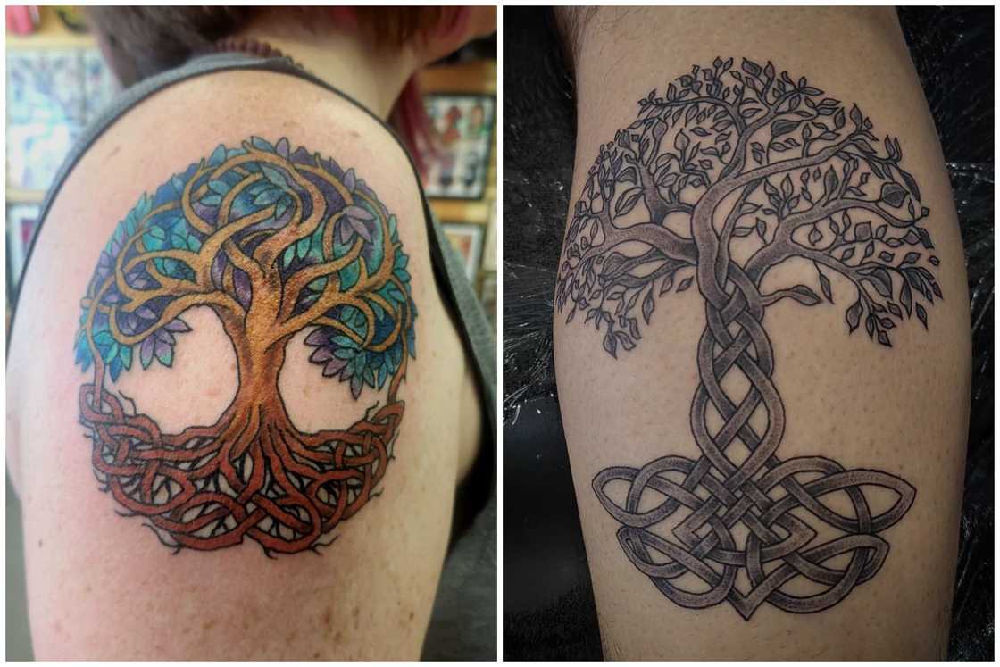 Celtic Tree of Life tattoo