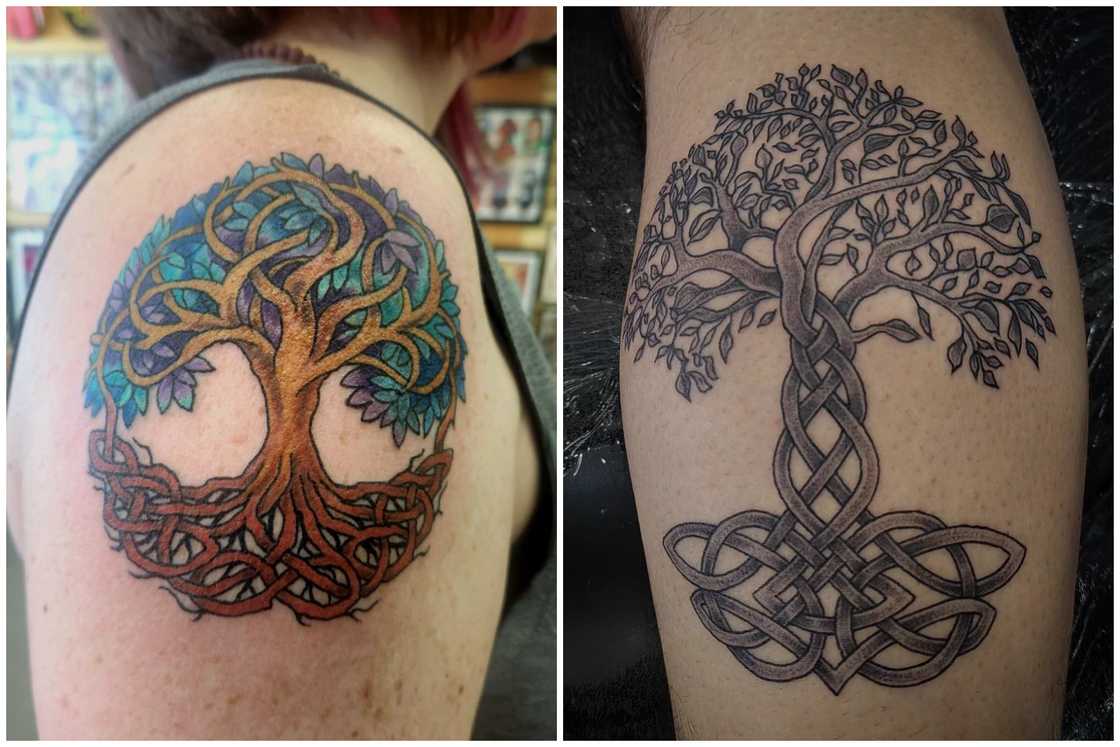 Celtic Tree of Life tattoo Celtic Tree of Life tattoo