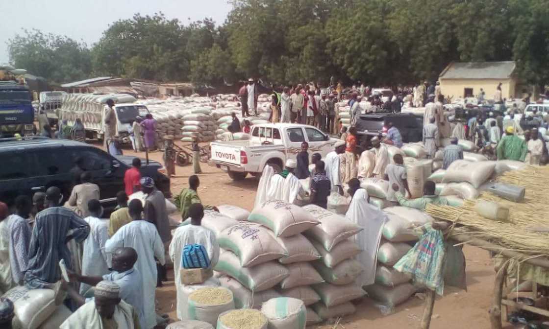 Customs raid Mubi market, seize foreign rice Customs raid Mubi market, seize foreign rice