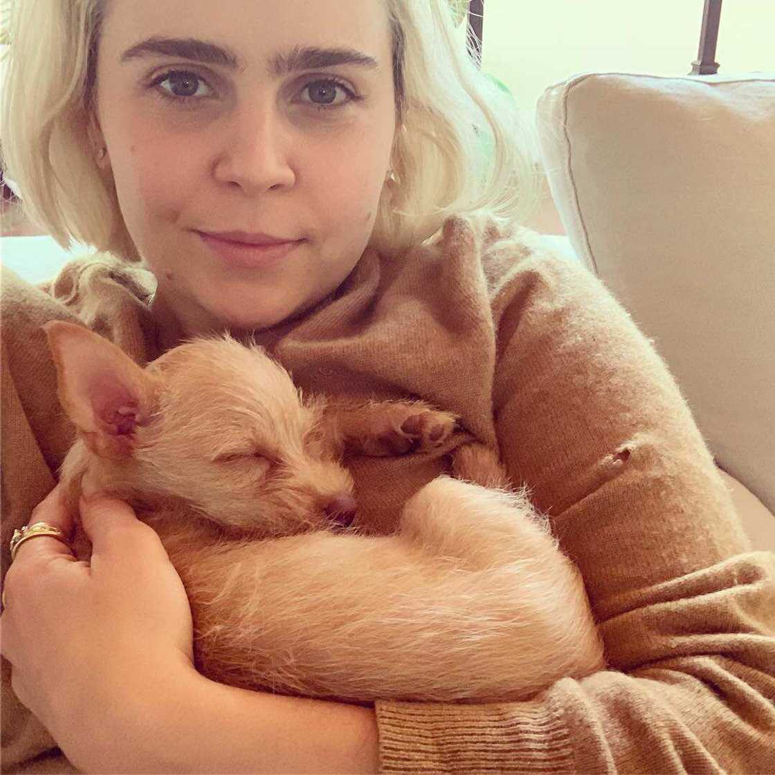 Mae Whitman movies and TV shows