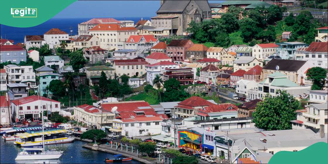 The Nigeria-Grenada Chamber of Commerce continues to promote commercial partnerships The Nigeria-Grenada Chamber of Commerce continues to promote commercial partnerships