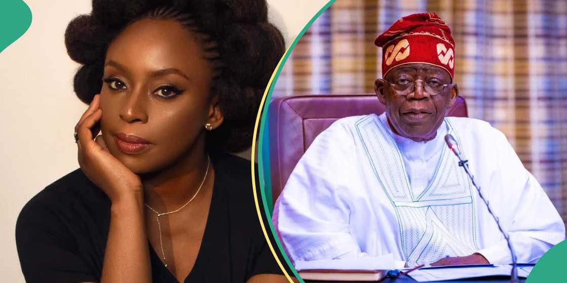 President Bola Tinubu mourns with Chimamanda Adichie over son's death