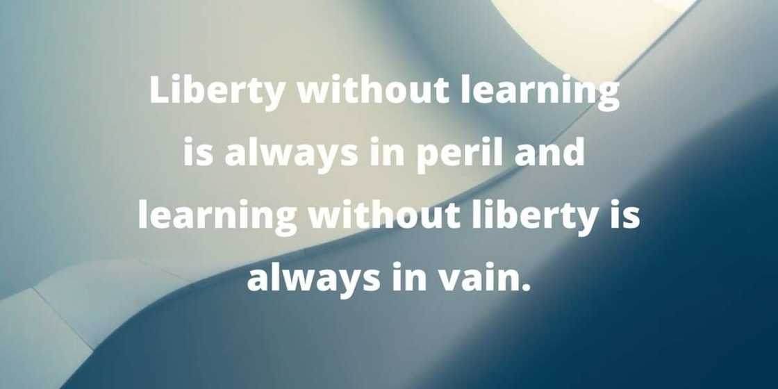 john f kennedy quotes john f kennedy quotes