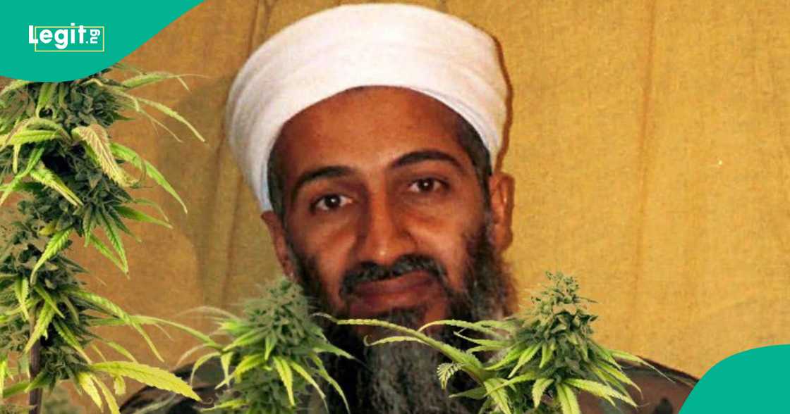 Osama bin Laden