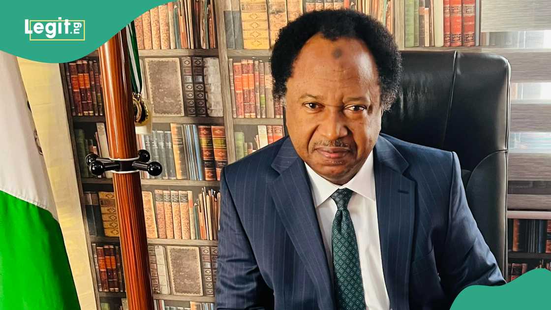 Shehu Sani condemns the alleged diversion of rice in Katsina.