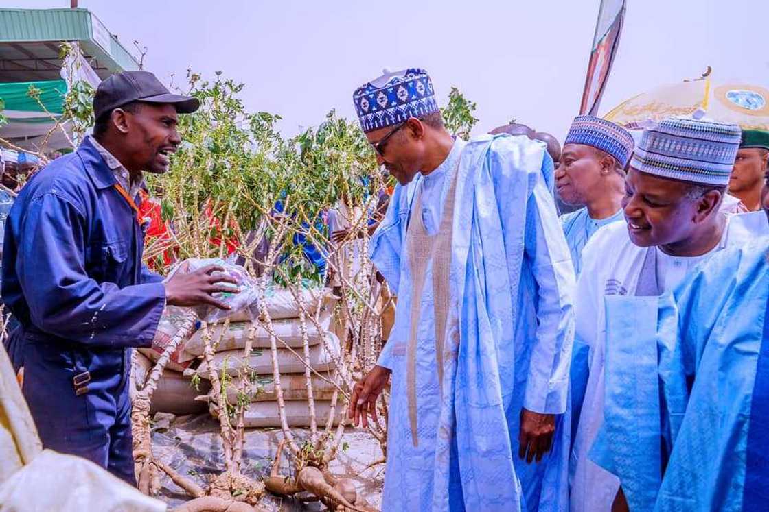 Dawowar bikin al’adun gargajiya na Argungun tabbaci ne na tsaro ya inganta – Buhari