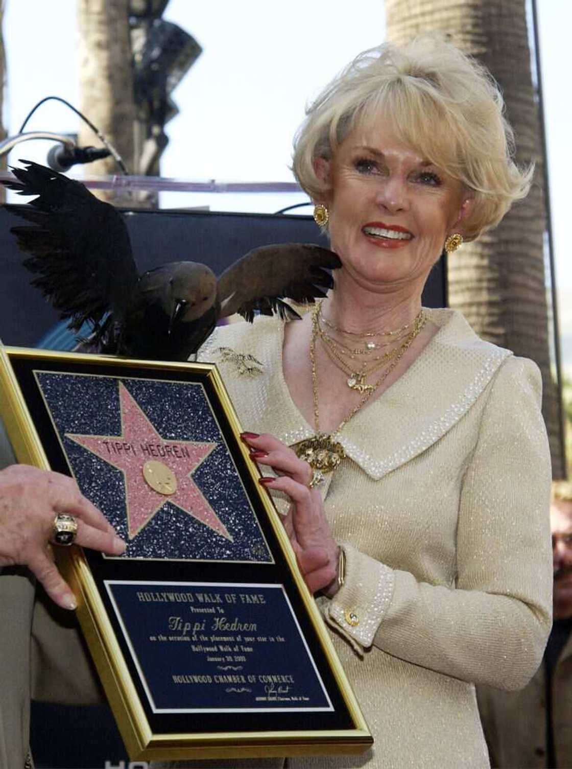 Tippi hedren les oiseaux