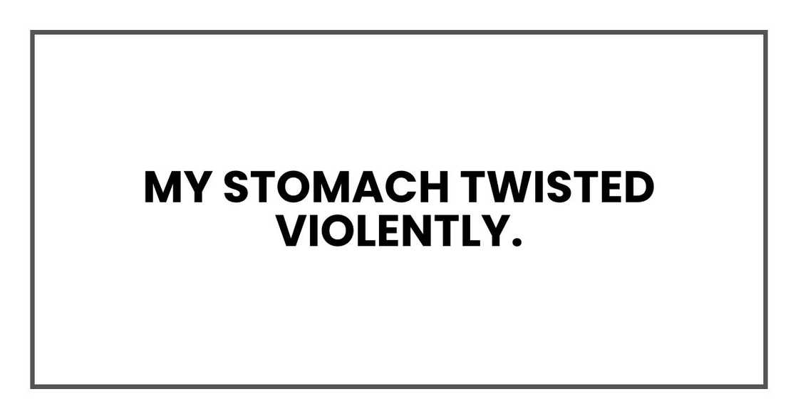 My stomach twisted violently. My stomach twisted violently.
