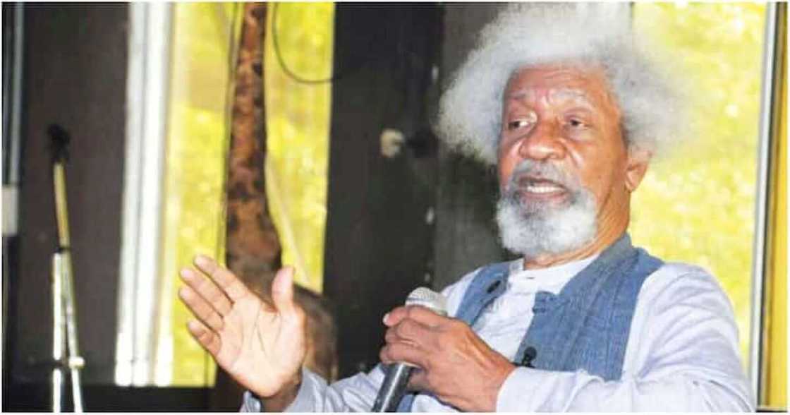 Wole Soyinka, Vacation, spokesperson