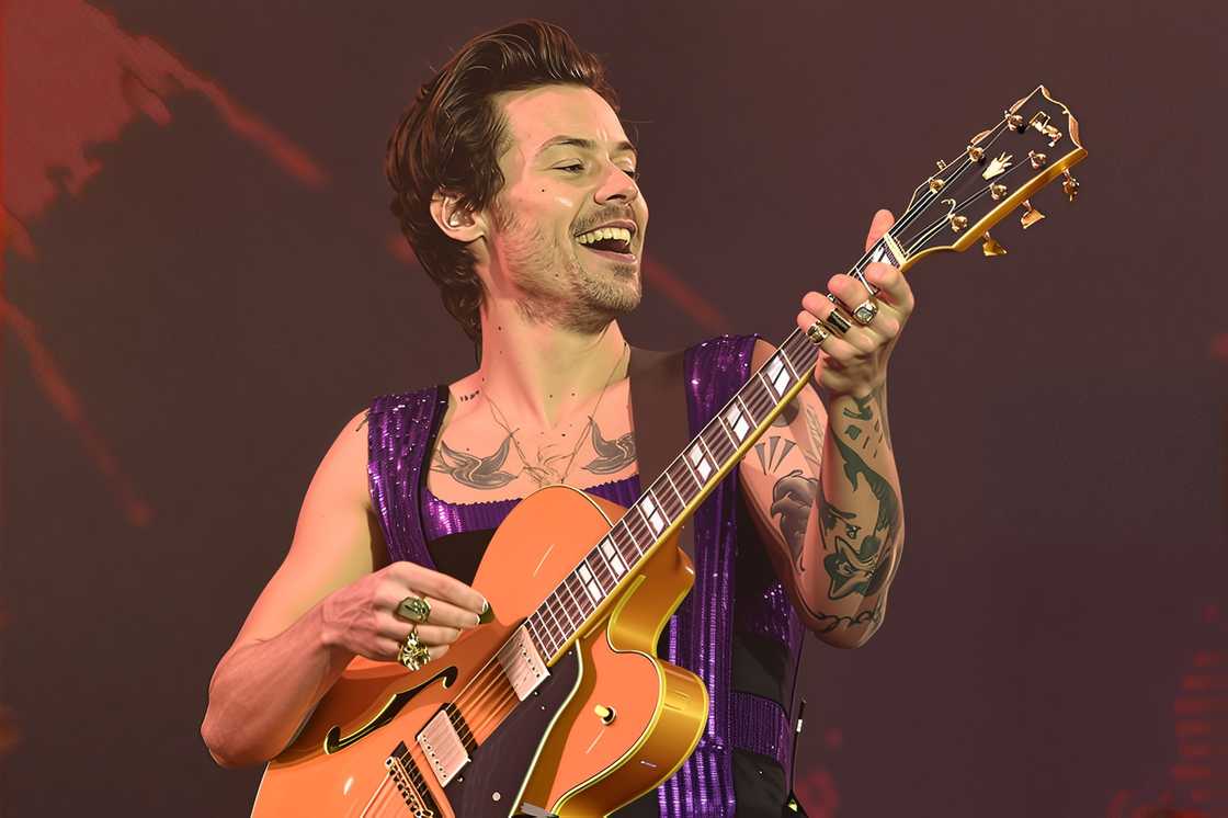 Harry Styles performs on stage at War Memorial Park