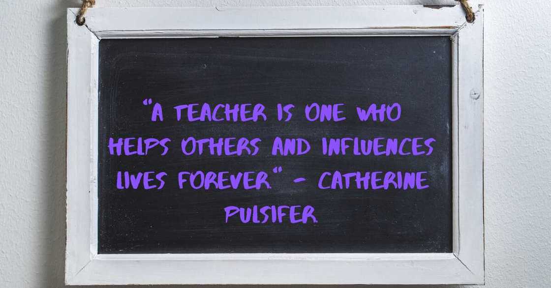 Teacher quotes Teacher quotes