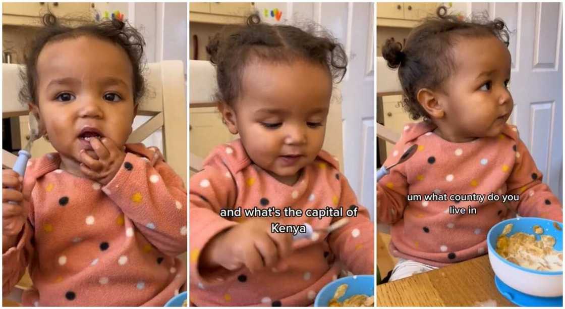 Photos of a 19-month-old toddler who knows the capital of countries. Photos of a 19-month-old toddler who knows the capital of countries.