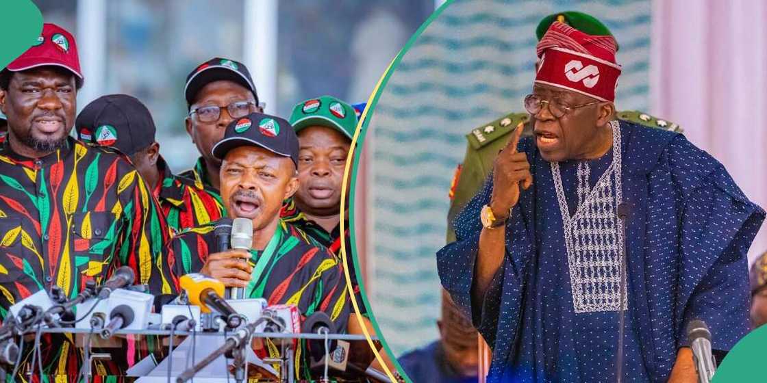 NLC rules out strike for now over minimum wage NLC rules out strike for now over minimum wage