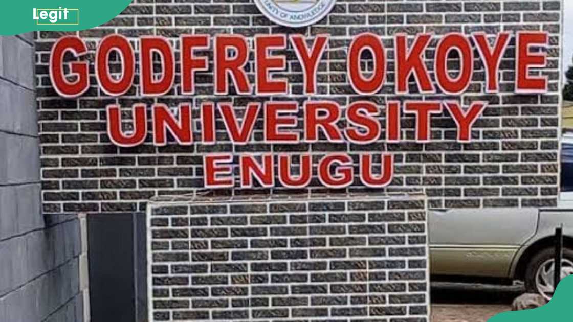 Godfrey Okoye University secures N90 million from DAAD Godfrey Okoye University secures N90 million from DAAD