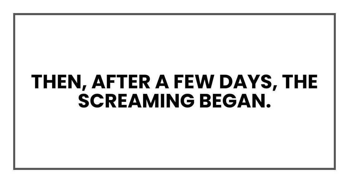 Then, after a few days, the screaming began.