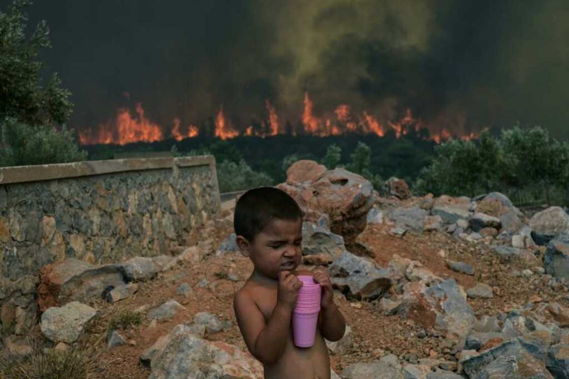 This year, which has been plagued by extreme-weather events made worse by climate change, will be the hottest in recorded history, Europe's climate monitor says This year, which has been plagued by extreme-weather events made worse by climate change, will be the hottest in recorded history, Europe's climate monitor says