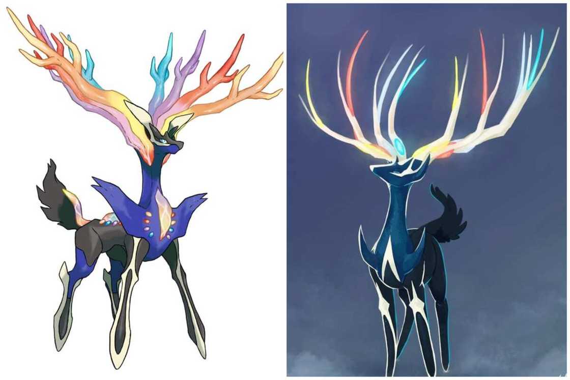 Cool-looking Pokemon