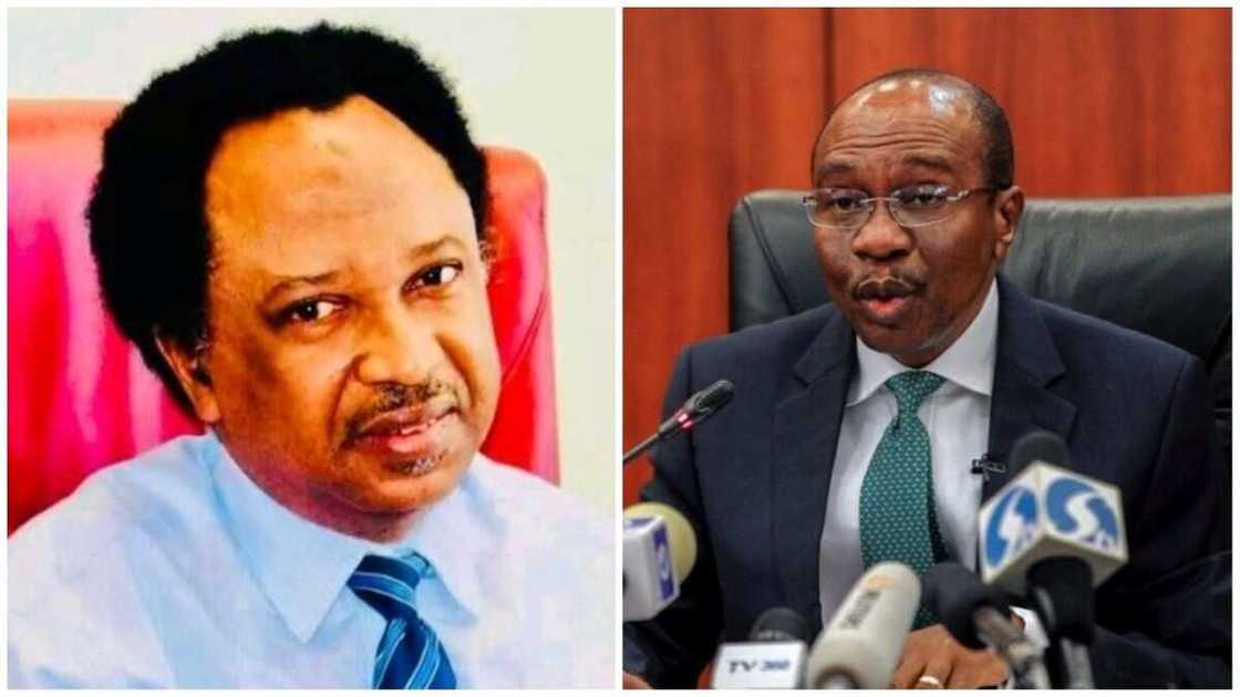 Godwin Emefiele, Shehu Sani, new naira policy, the central bank of Nigeria Godwin Emefiele, Shehu Sani, new naira policy, the central bank of Nigeria