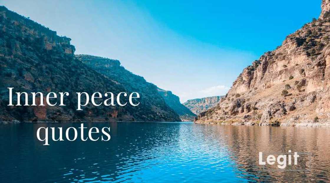quotes about peace quotes about peace