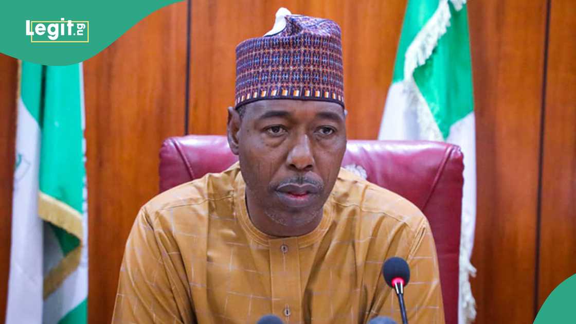 Borno governor banned sale of alcohol, shares why Borno governor banned sale of alcohol, shares why