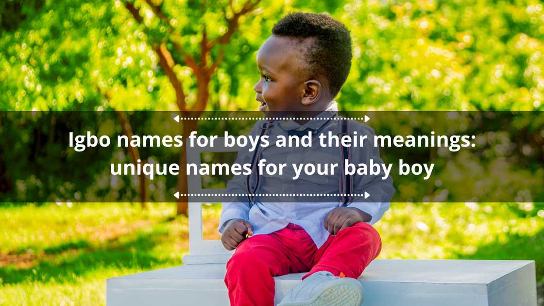 Igbo names for boys