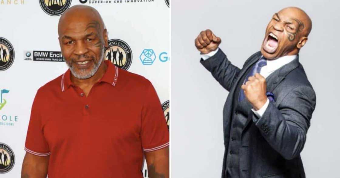 Mike Tyson, Charges, Celebrity Mike Tyson, Charges, Celebrity