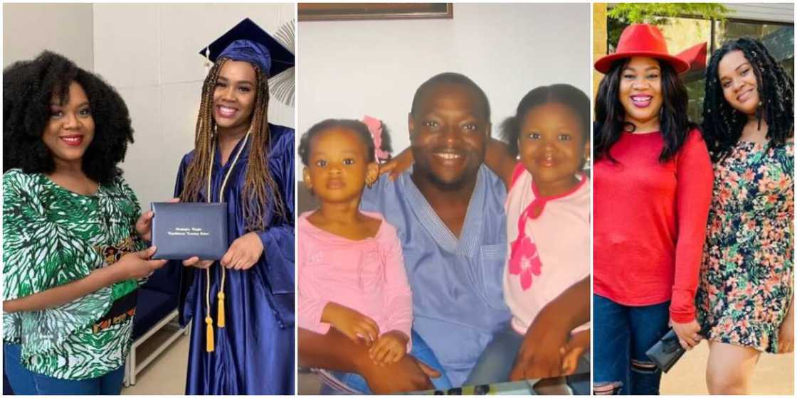 Stella Damasus Stella Damasus