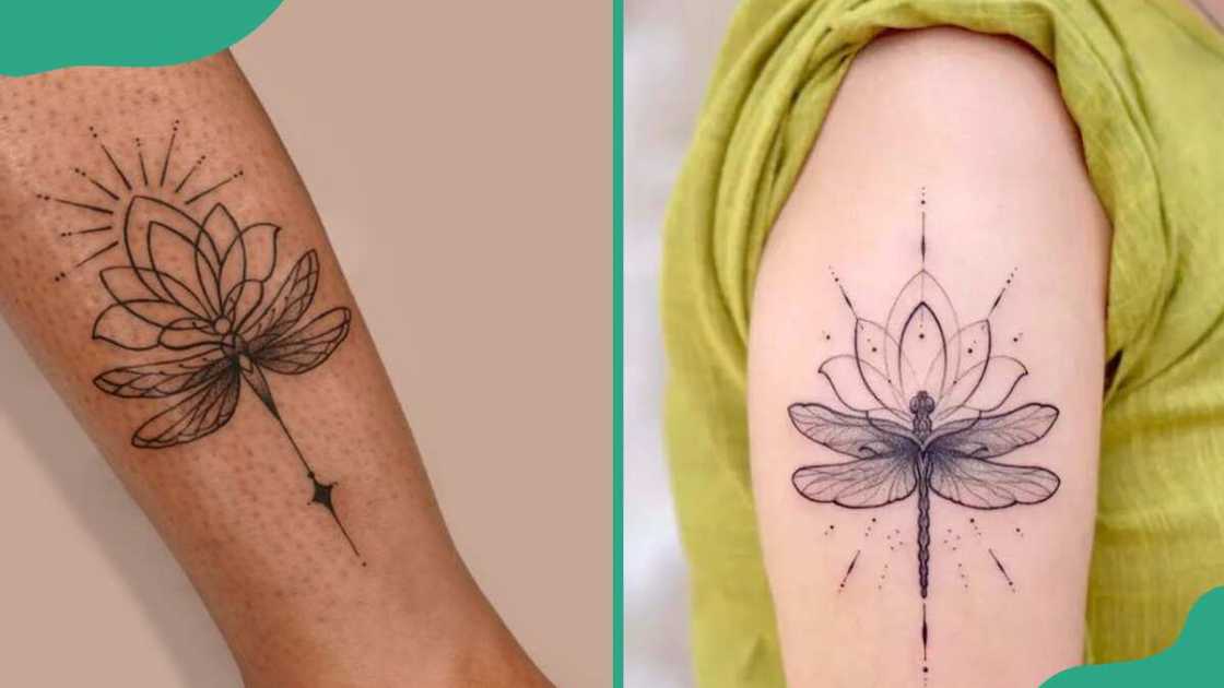 Lotus dragonfly tattoo Lotus dragonfly tattoo